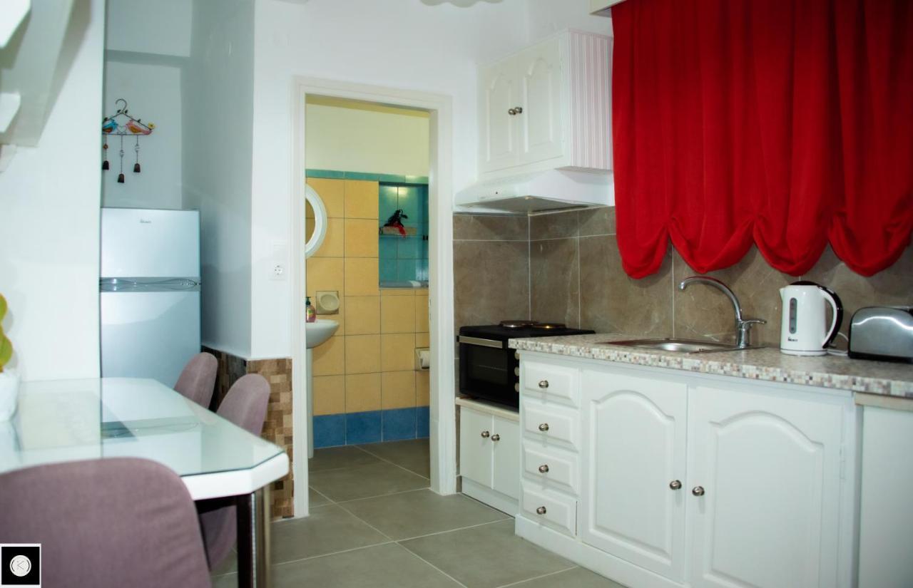 Happy Owl Ground Floor Appartment Zakynthos Exterior photo